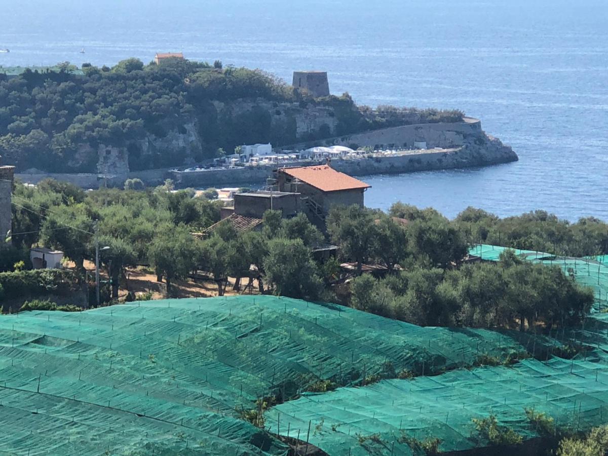 Hotel Dania Sorrento Luaran gambar