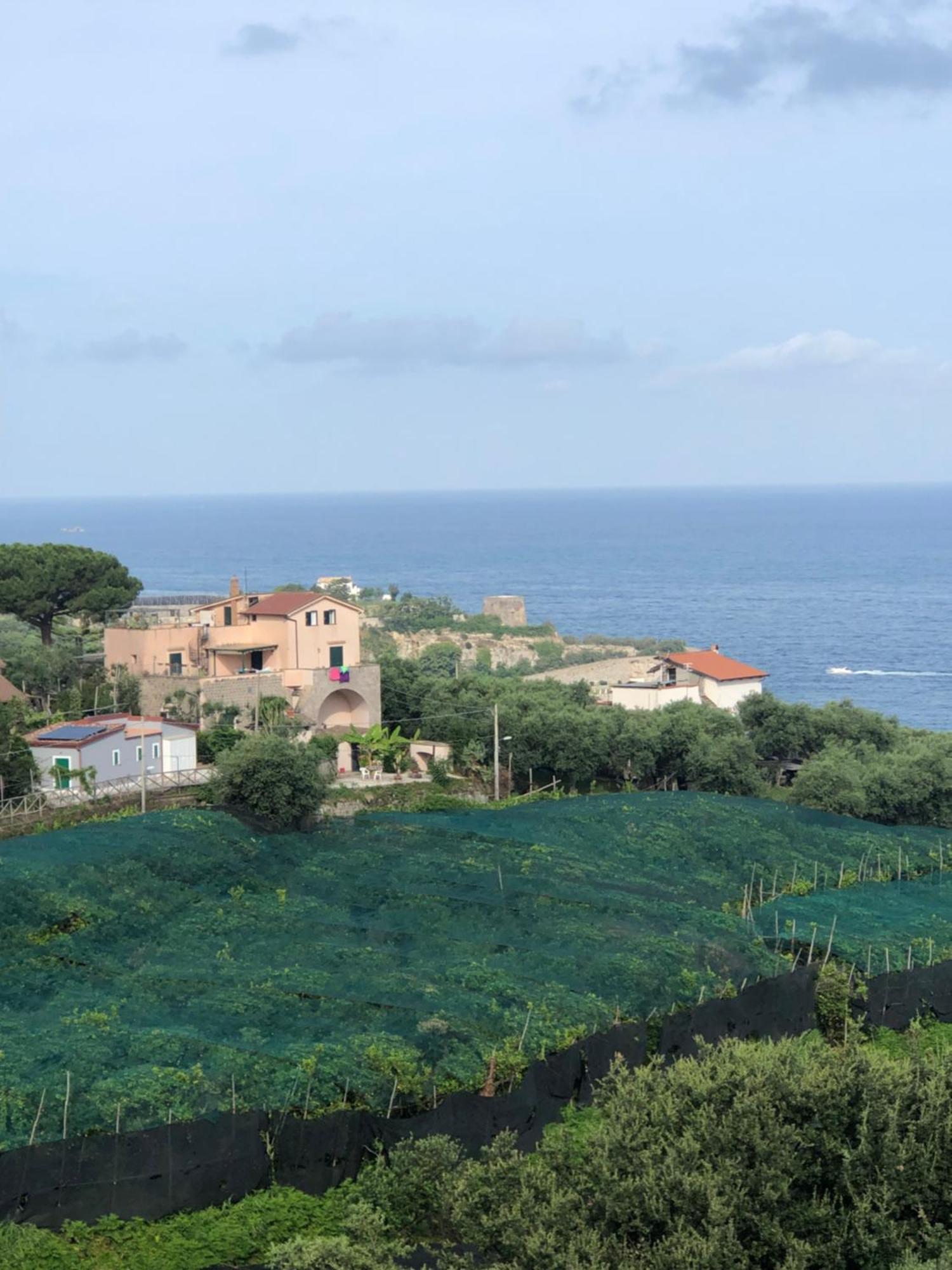 Hotel Dania Sorrento Luaran gambar